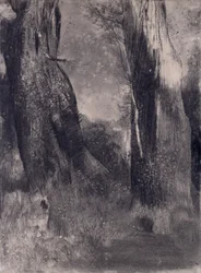 木、1890年代（木炭紙）